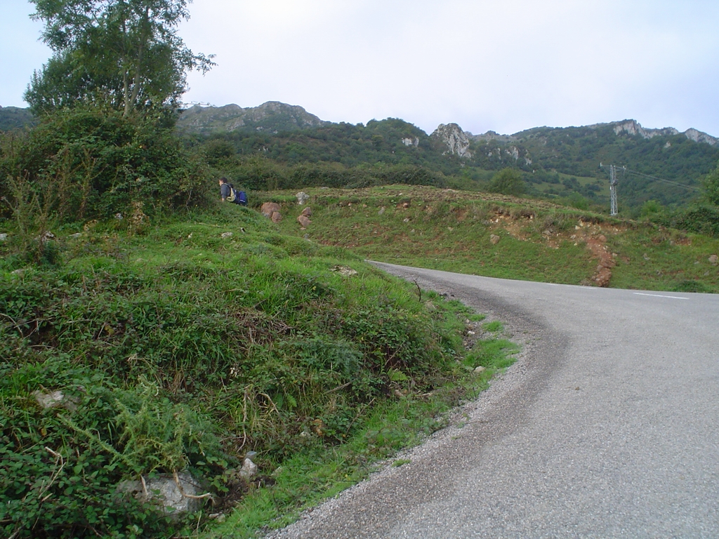 DSC08277.JPG